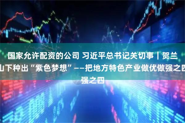 国家允许配资的公司 习近平总书记关切事｜贺兰山下种出“紫色梦想”——把地方特色产业做优做强之四