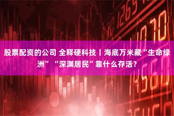 股票配资的公司 全释硬科技丨海底万米藏“生命绿洲” “深渊居民”靠什么存活？